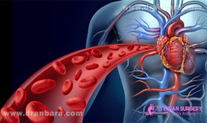مهمترین بیماری قلبی