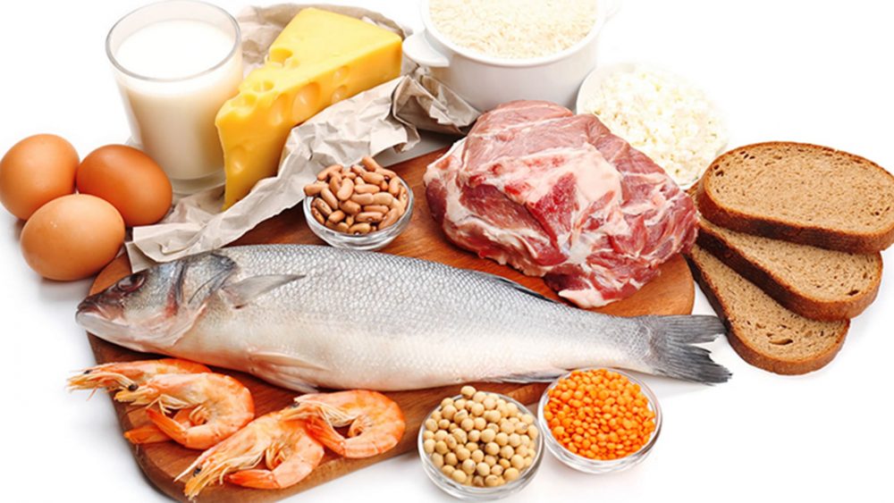 مواد غذایی حاوی پروتئین