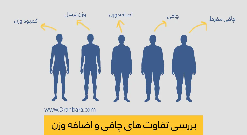 اینفوگرافی فرق چاقی و اضافه وزن