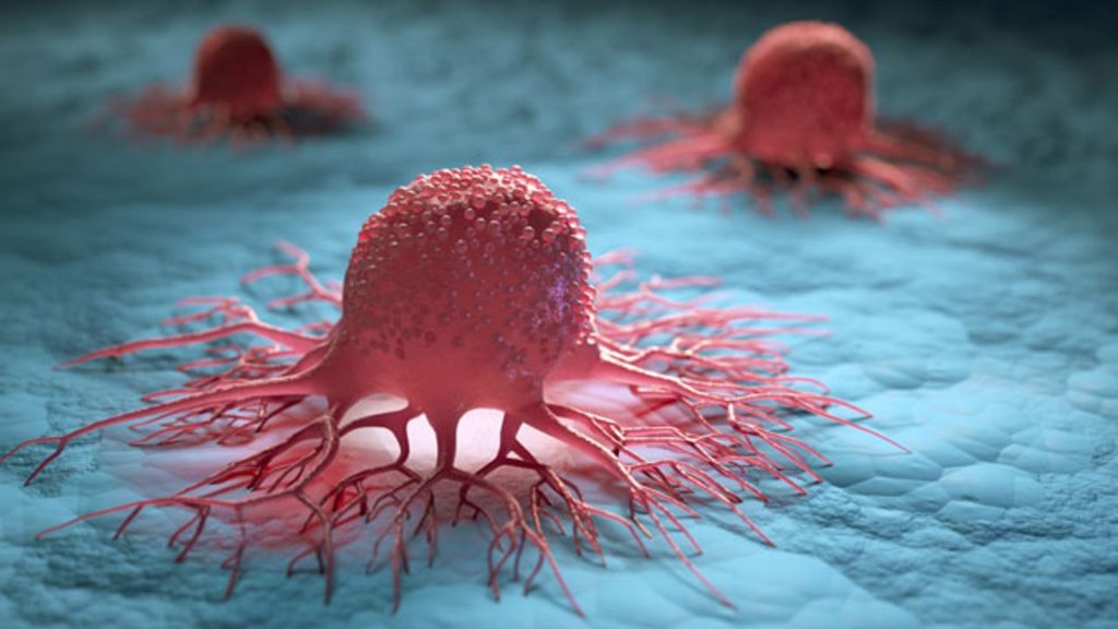 تصویر شماتیک یک سلول سرطانی