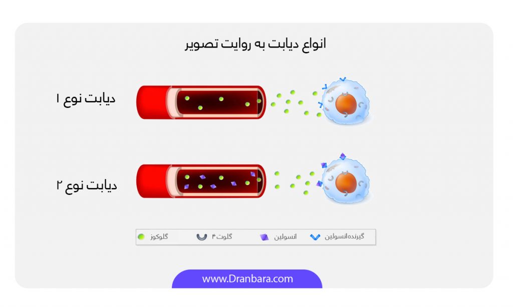 اینفوگرافی انواع ارتودنسی دندان