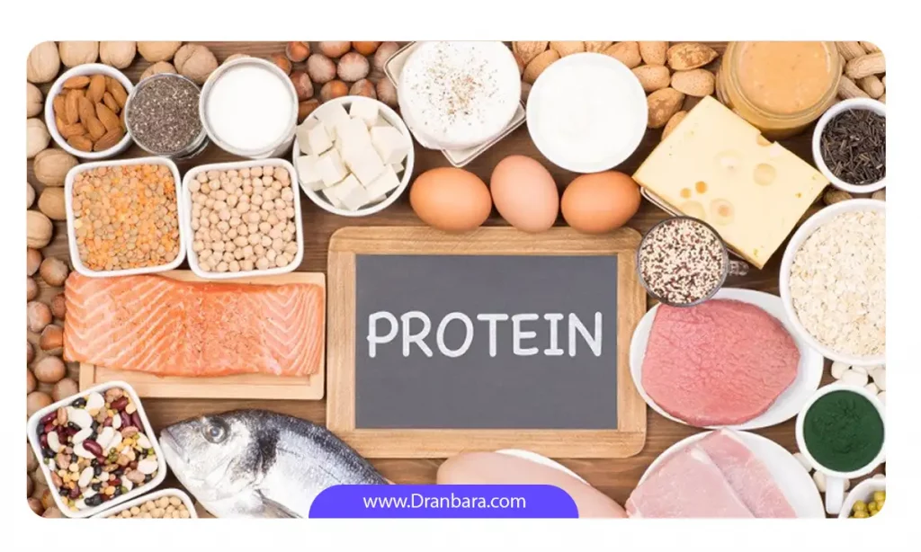 تصویری از غذاهای پر پروتئین برای کم آبی و سوزاندن چربی های شکم