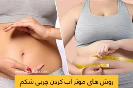 شاخص کاهش چربی شکم و پهلو
