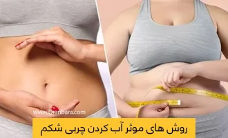 شاخص کاهش چربی شکم و پهلو