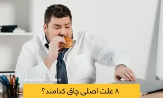 شاخص علت چاقی