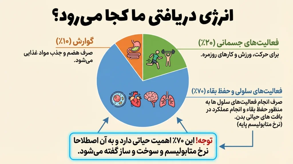 اینفوگرافی انرژی دریافتی و مصارف آن در بدن