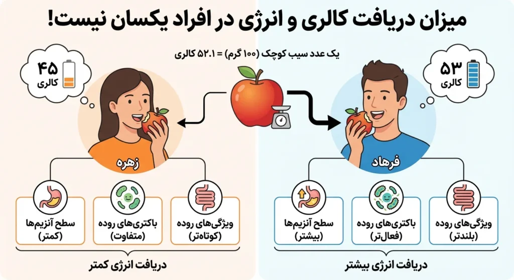تفاوت کالری دریافتی در افراد مختلف