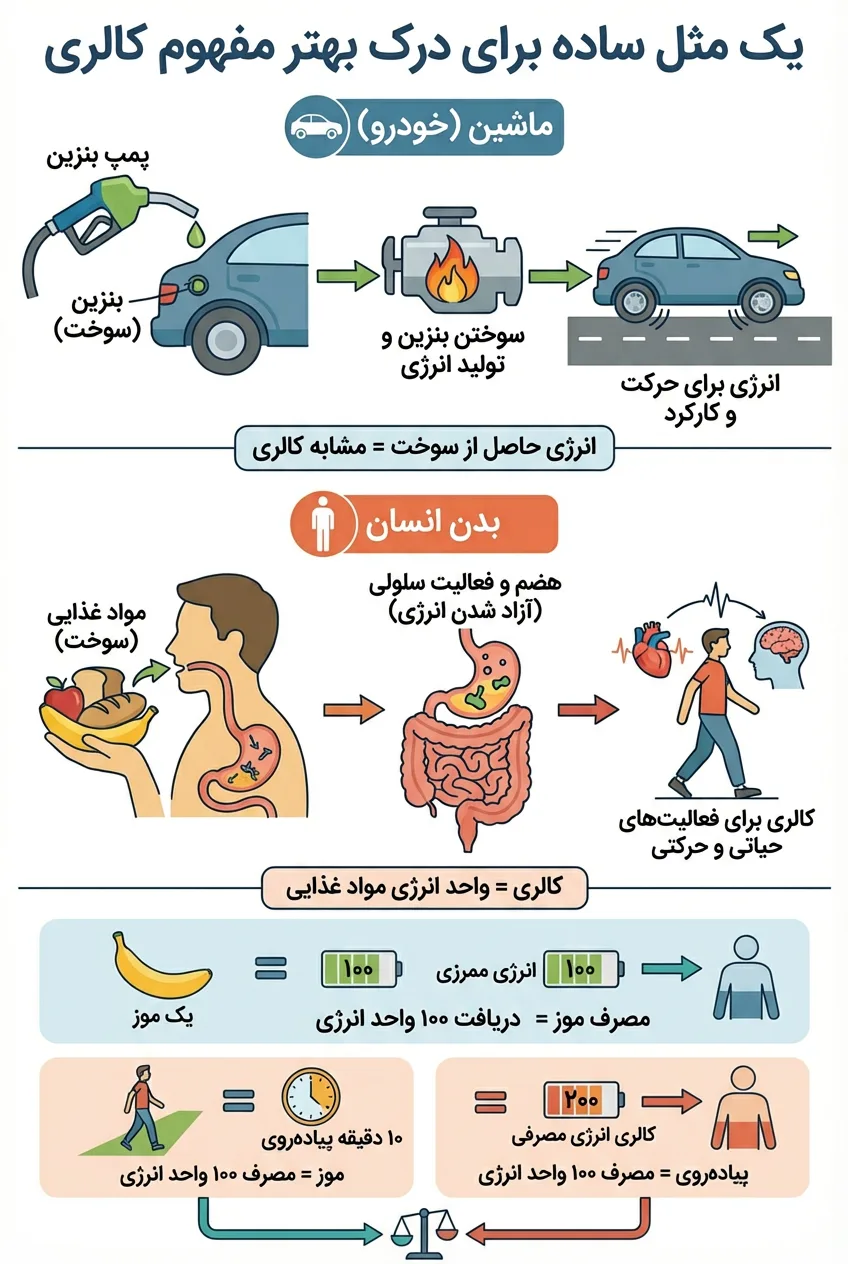 اینفوگرافی برای درک بهترکالری دریافتی و مصرفی