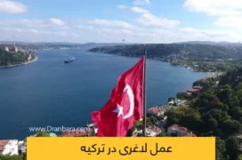 عمل لاغری در ترکیه شاخص